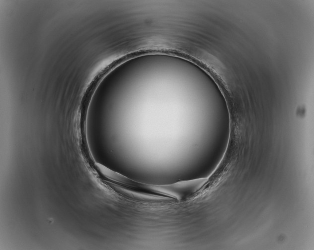 X0000098131030200804171516