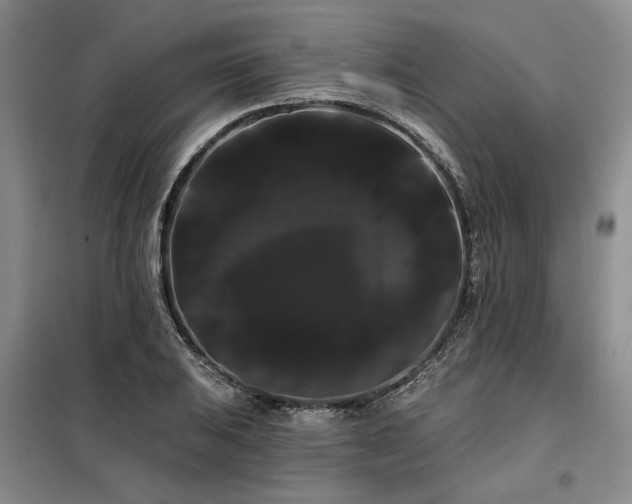 X0000098131031200804171516