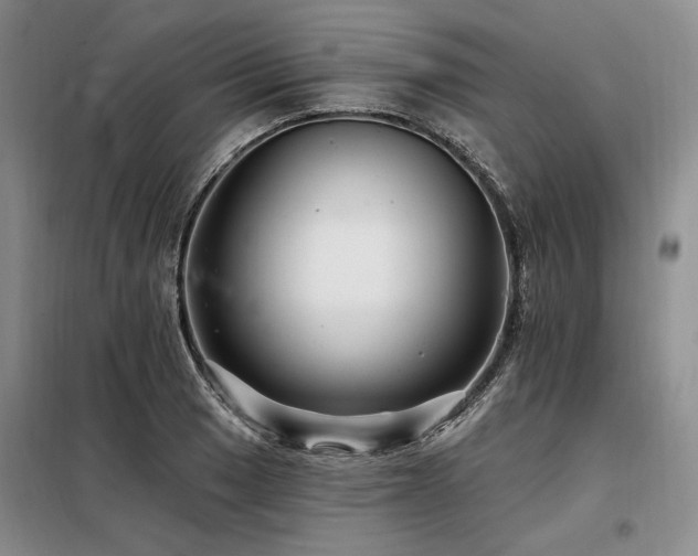 X0000098131033200804171516