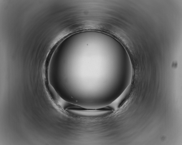 X0000098131034200804171516