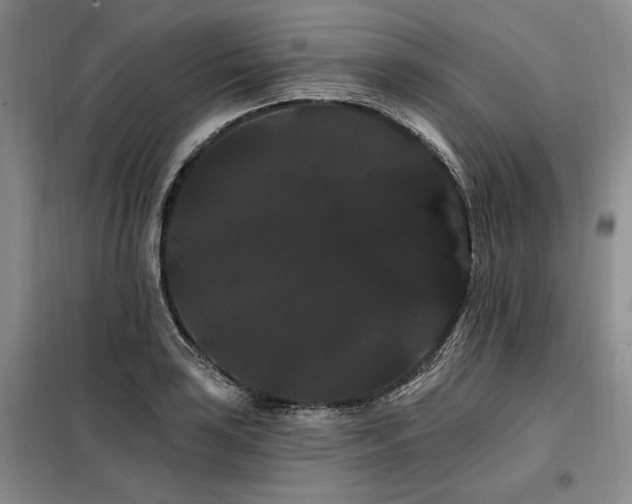 X0000098131035200804171516