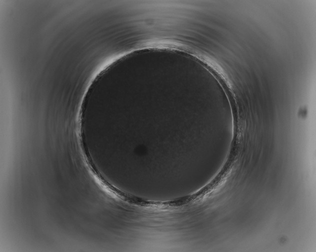 X0000098131037200804171516