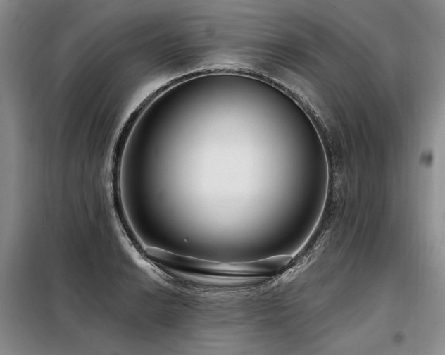X0000098131038200804171516