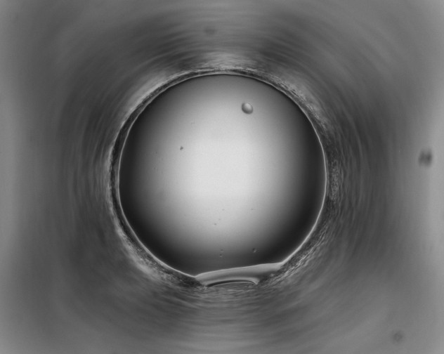 X0000098131039200804171516
