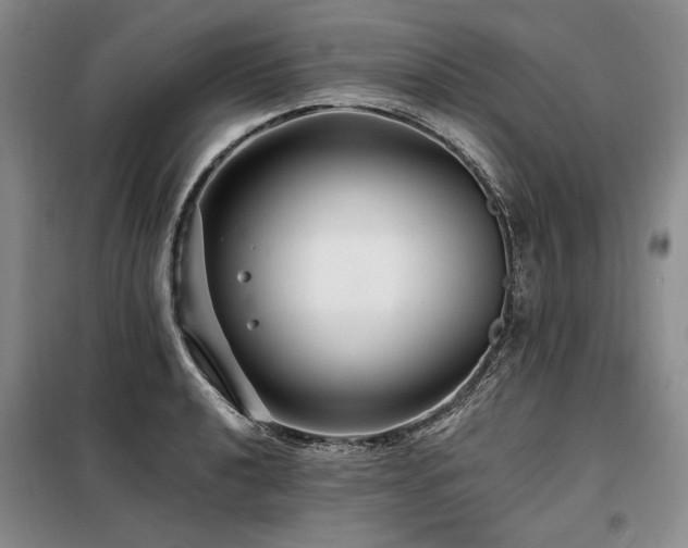 X0000098131040200804171516