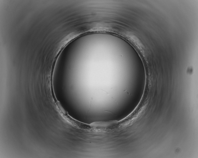 X0000098131041200804171516