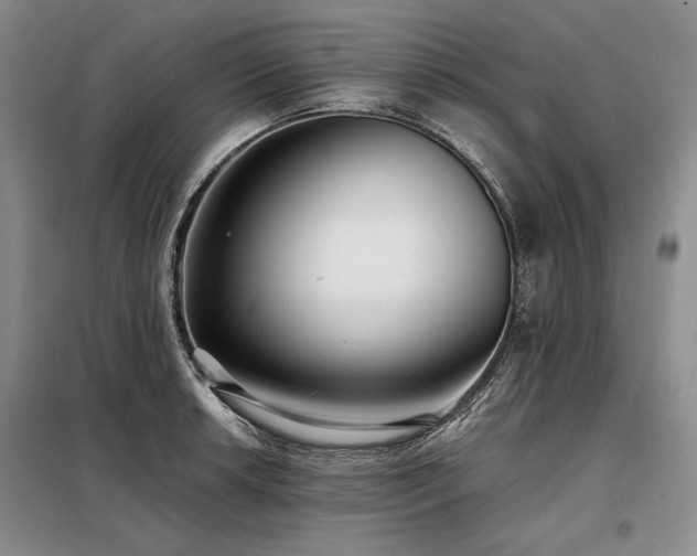 X0000098131042200804171516
