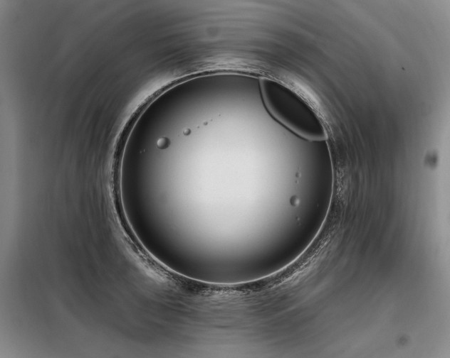 X0000098131043200804171516