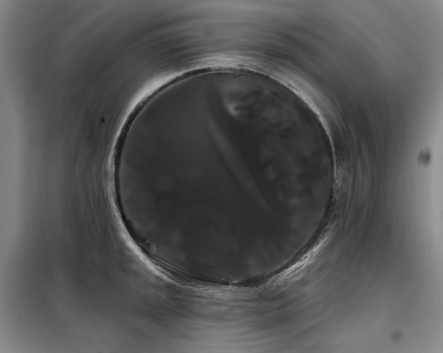X0000098131045200804171516
