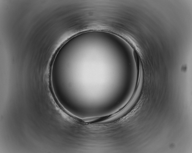 X0000098131046200804171516