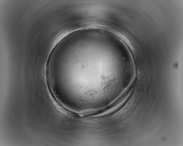 X0000098131047200804171516
