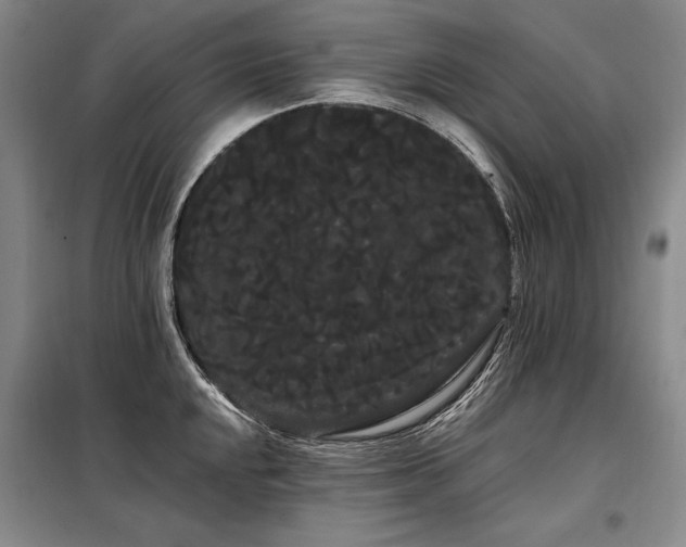 X0000098131048200804171516