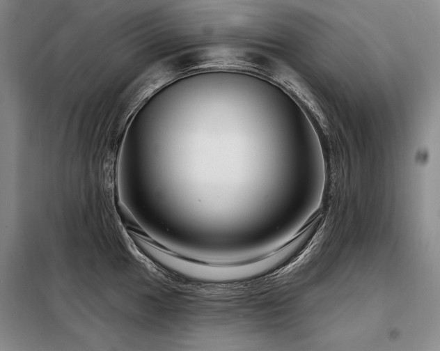 X0000098131049200804171516