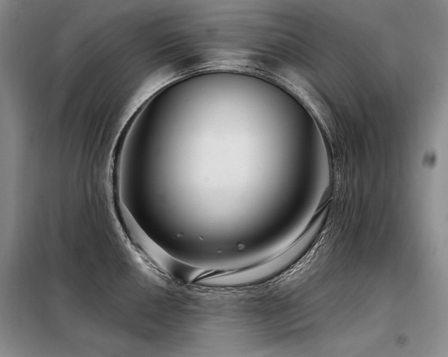 X0000098131050200804171516