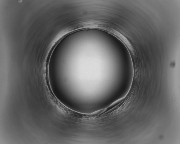 X0000098131051200804171516