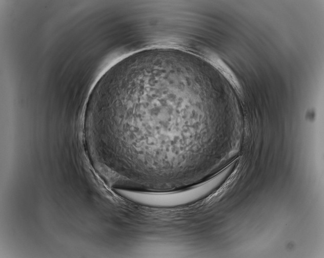 X0000098131052200804171516