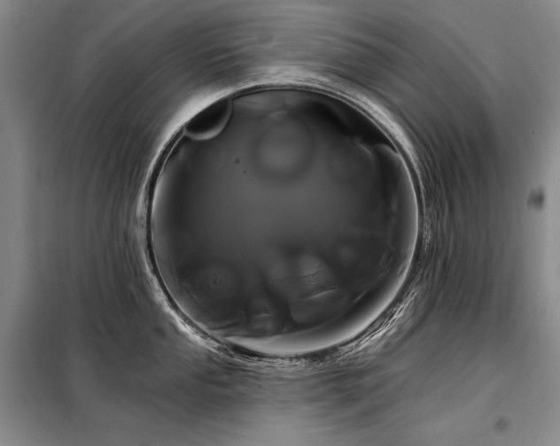 X0000098131053200804171516