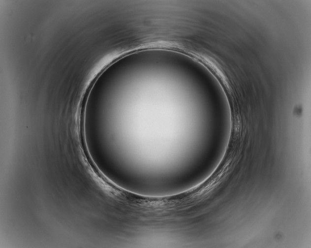 X0000098131054200804171516