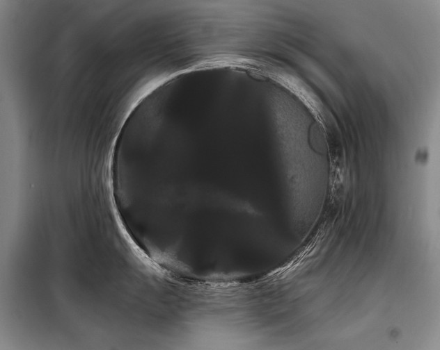 X0000098131055200804171516