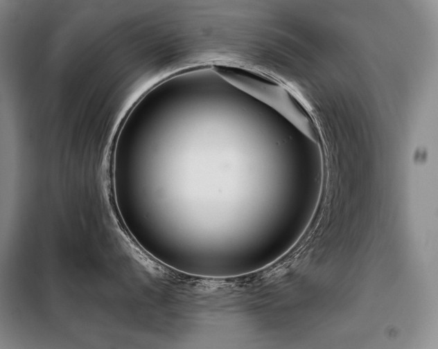 X0000098131056200804171516