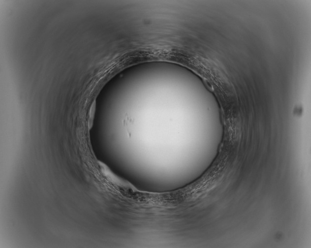 X0000098131057200804171515