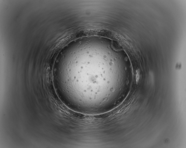 X0000098131059200804171515