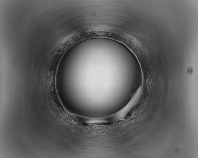 X0000098131062200804171515