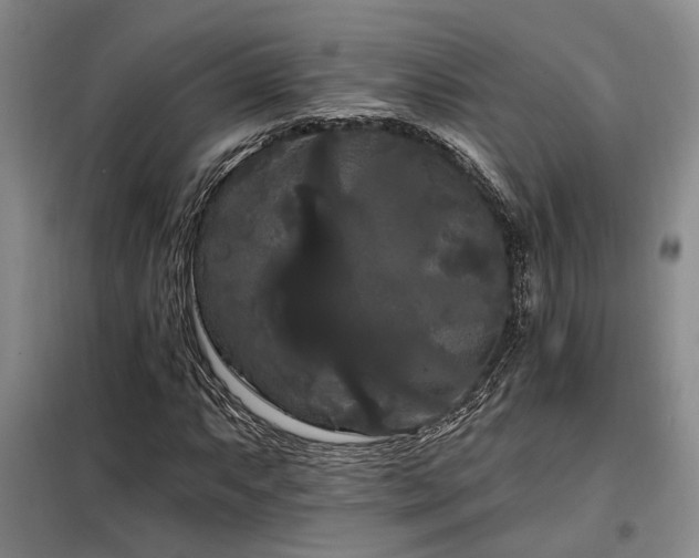 X0000098131063200804171515