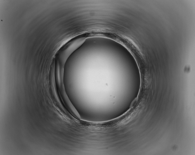 X0000098131065200804171515