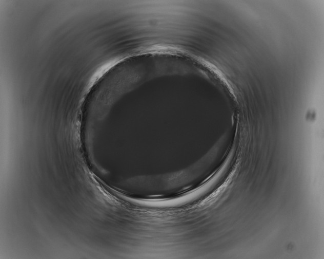 X0000098131066200804171515