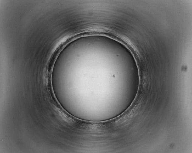 X0000098131067200804171515