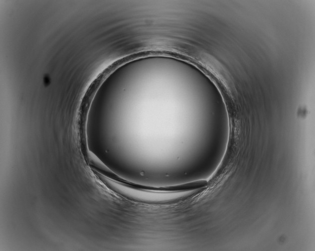 X0000098131068200804171515