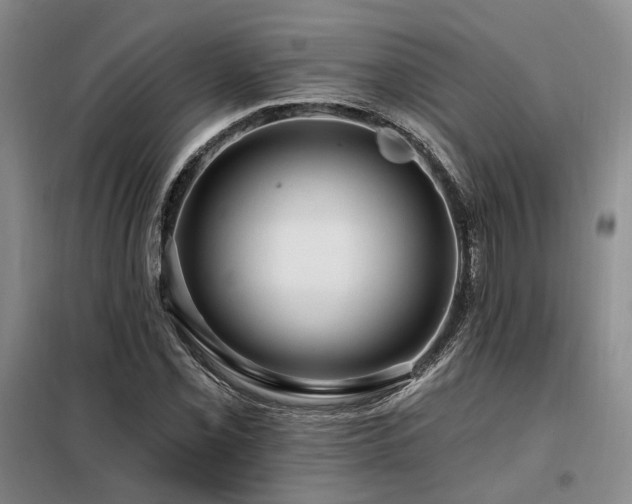 X0000098131069200804171515