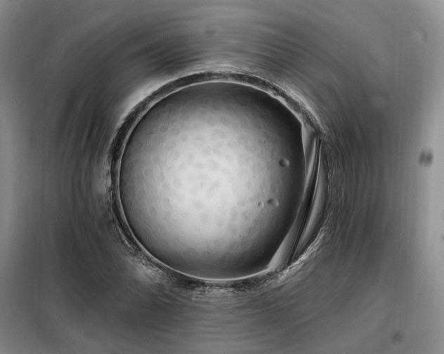 X0000098131070200804171515