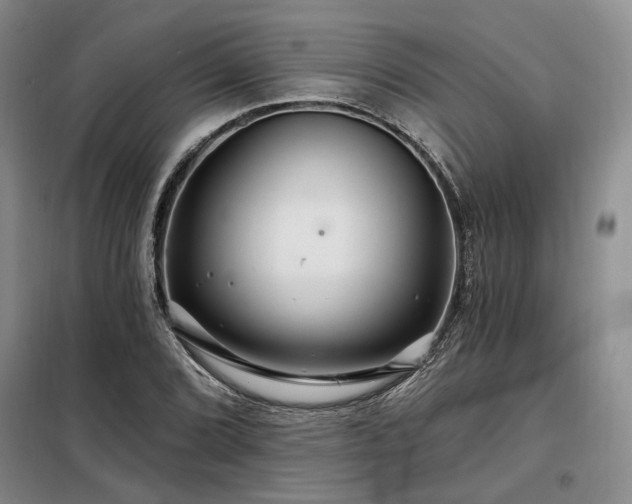 X0000098131072200804171515