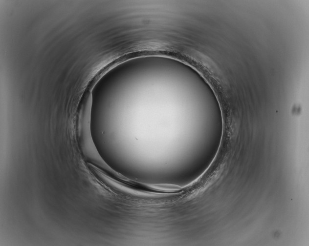 X0000098131073200804171515