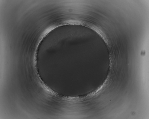 X0000098131074200804171515