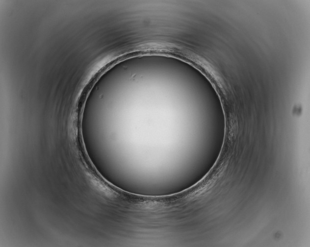 X0000098131075200804171515