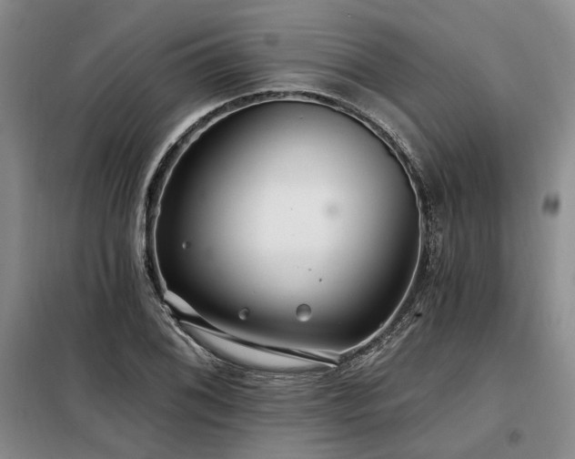 X0000098131076200804171515