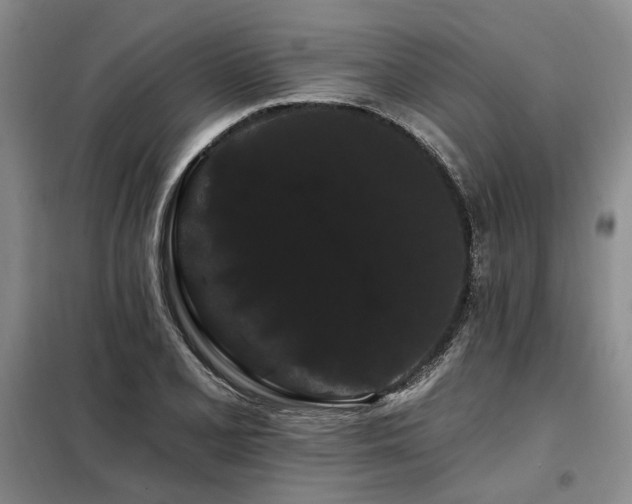 X0000098131077200804171515