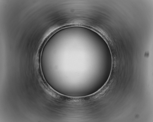 X0000098131078200804171515