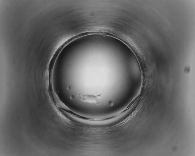 X0000098131079200804171515
