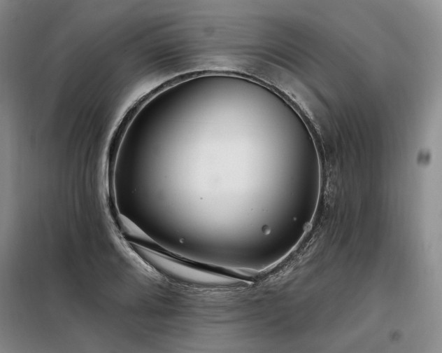 X0000098131080200804171515