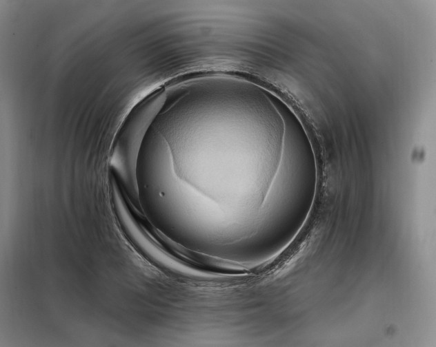 X0000098131081200804171515