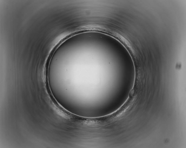 X0000098131082200804171515