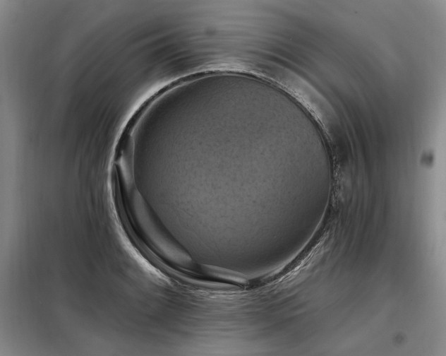 X0000098131084200804171515