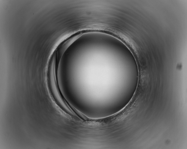 X0000098131085200804171515
