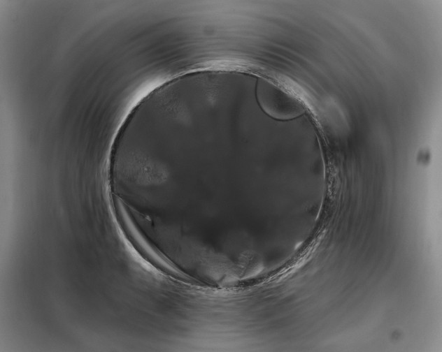 X0000098131087200804171515