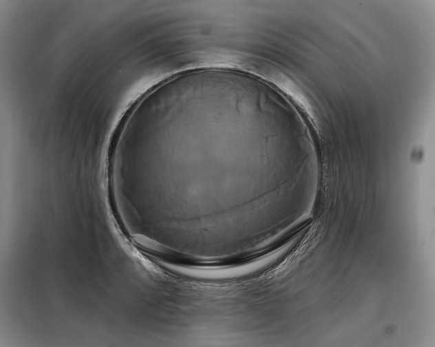 X0000098131088200804171515