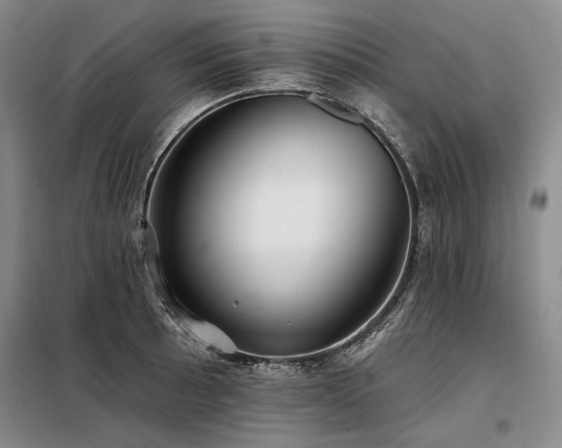 X0000098131089200804171515